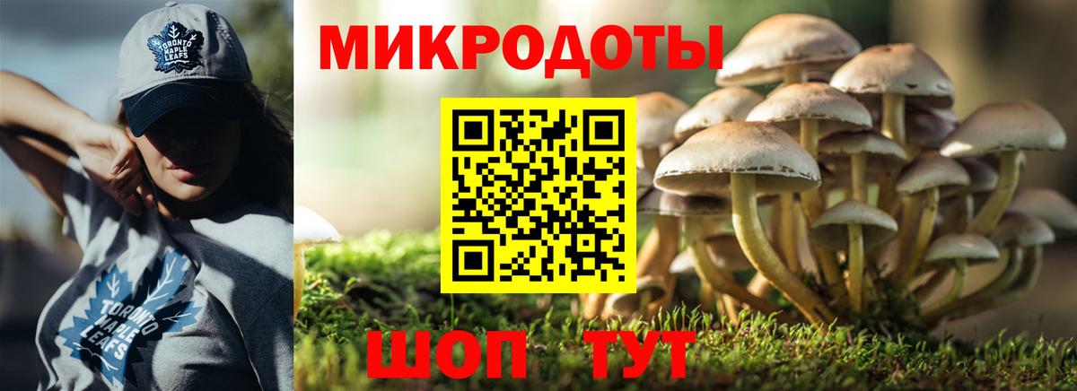 Псилоцибиновые грибы Magic Shrooms Гусь-Хрустальный