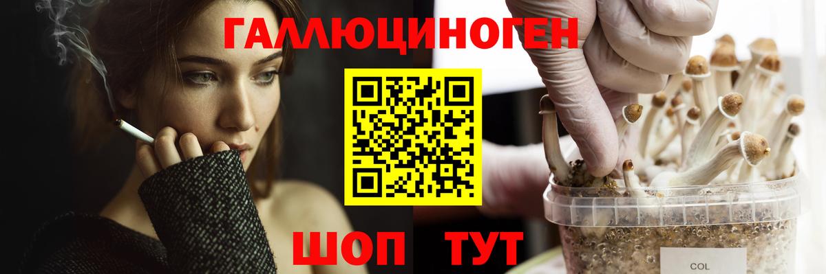 Псилоцибиновые грибы GOLDEN TEACHER  Вход с VPN  продажа наркотиков  Галлюциногенные грибы GOLDEN TEACHER  Гусь-Хрустальный 